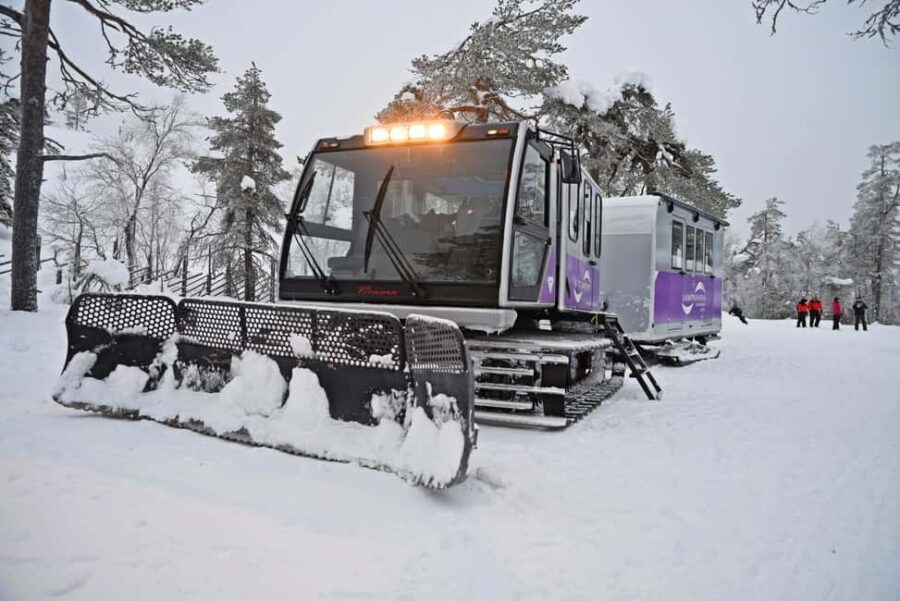 From Rovaniemi: EXCURSION TO THE AMETHYST MINE IN LUOSTO - Price and Value: Is $206 Worth It for a 5-Hour Mine Experience?