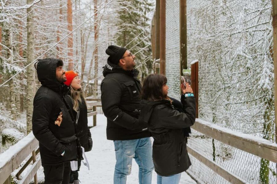 From Rovaniemi: Family Friendly Visit to Ranua Wildlife Park - Why Ranua Wildlife Park works so well from Rovaniemi