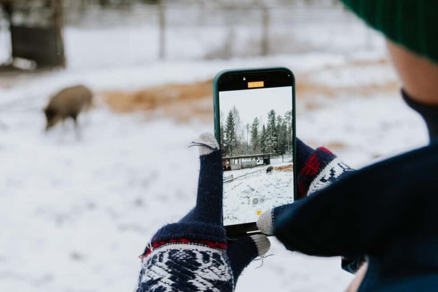 From Rovaniemi: Family Friendly Visit to Ranua Wildlife Park - The guided walk: how the visit actually feels on the ground
