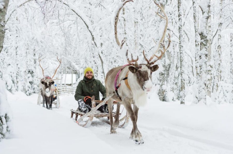 From Rovaniemi: Husky and Reindeer farm with sled ride - Rovaniemi pickup and 3.5-hour timing that actually works