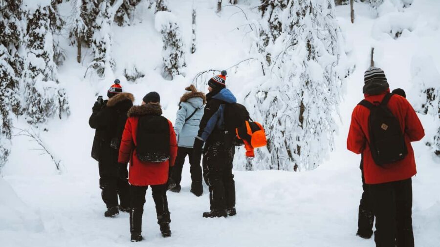 From Rovaniemi: Korouoma & Auttiköngäs Frozen Waterfalls - Wildlife spotting: small chances that feel big