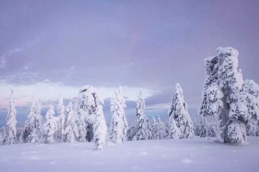 From Rovaniemi: Korouoma Canyon and Frozen Waterfalls Tour - Frozen Waterfalls Up Close: What You Actually See Along the Way