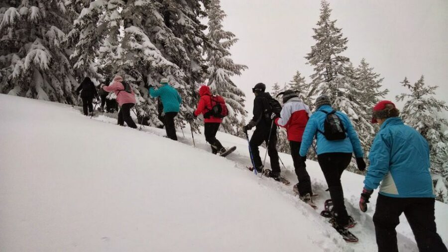From Rovaniemi: Korouoma Frozen Waterfalls Small-Group Hike - Key highlights worth your time