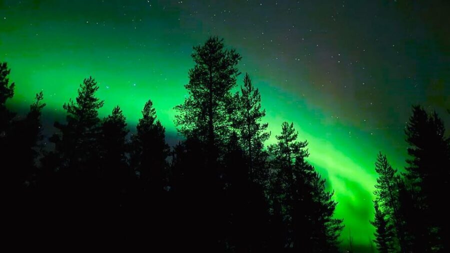 From Rovaniemi: Night Tour in Search of the Aurora with BBQ - Who Should Book This Aurora BBQ Hunt