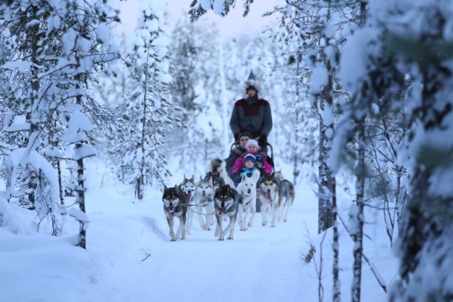 From Rovaniemi: Self-Driven 10km Husky Sled Ride - Who This Small-Group Ride Is Best For (And Who Might Want A Different Option)