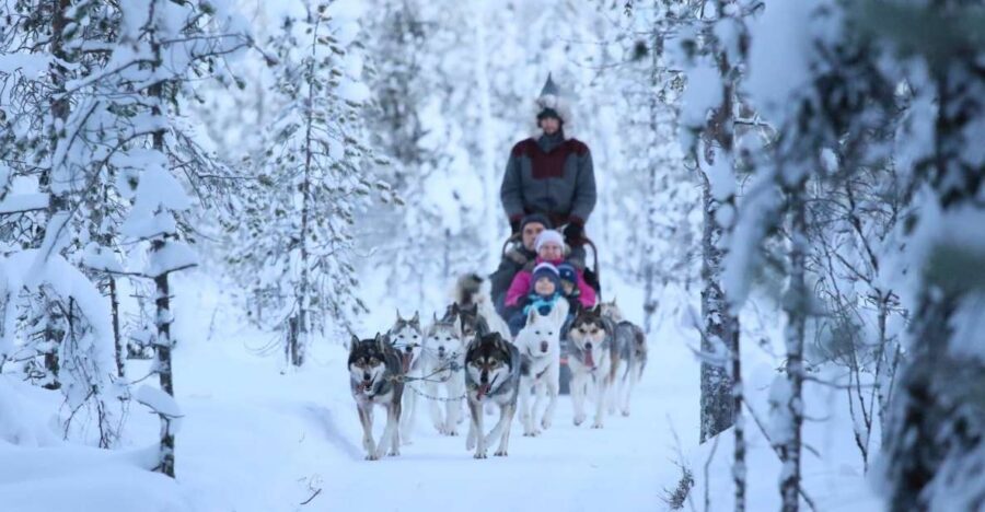 From Rovaniemi: Self-Driven 10km Husky Sled Ride - Kennel Visit: Meet The Huskies Before You Sit On The Sled