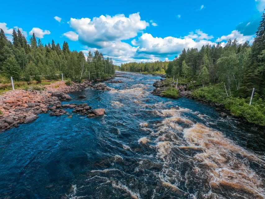 From Rovaniemi: Vikaköngäs Forest Hiking Tour - Key highlights that make this tour worth your time