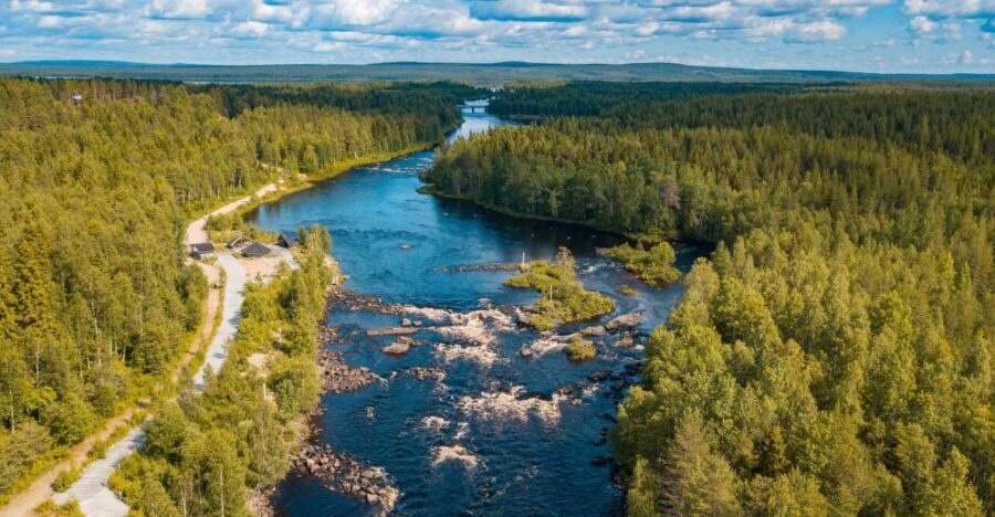 From Rovaniemi: Vikaköngäs Forest Hiking Tour - Why Vikaköngäs feels wild without being a full-day commitment