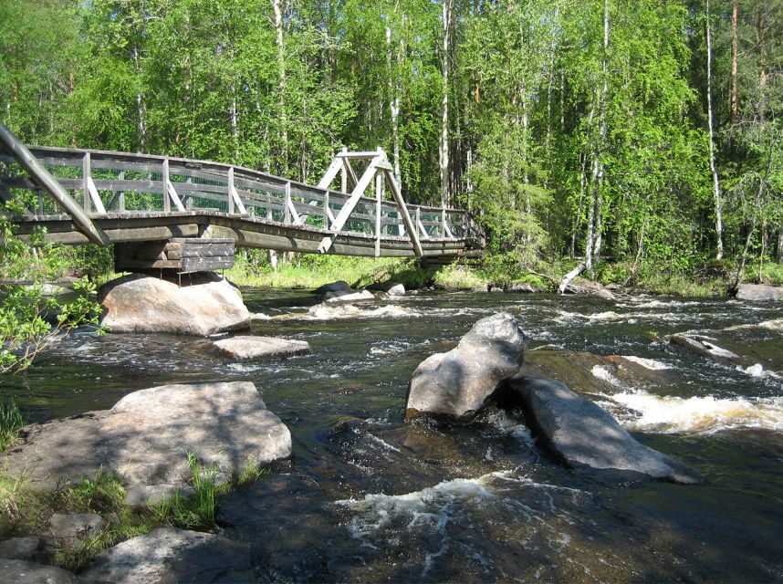 From Rovaniemi: Vikaköngäs Forest Hiking Tour - The short hike: forests, rocky gorges, and water-side views