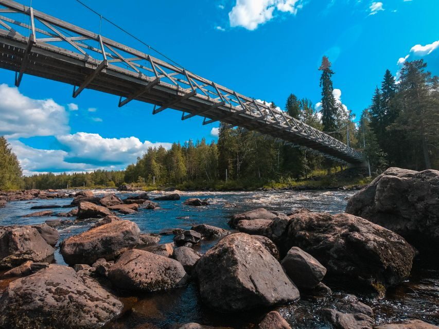 From Rovaniemi: Vikaköngäs Forest Hiking Tour - Pickup, small groups, and why the timing works in Lapland