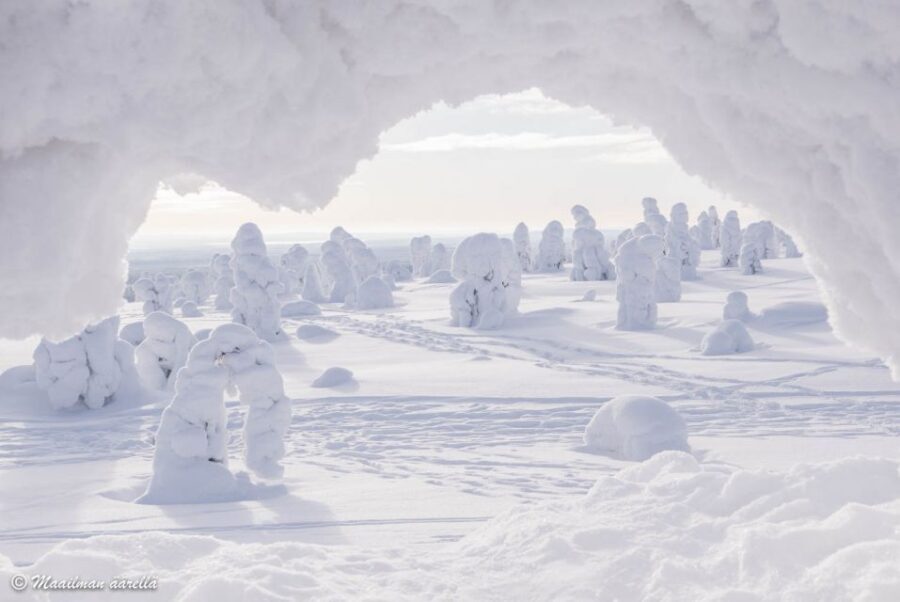 From Rovaniemi: Winter Wonderland Hike with a Hot Drink - The Hike Itself: Quiet Snow, Big Views, and a Trail That Fits Most People