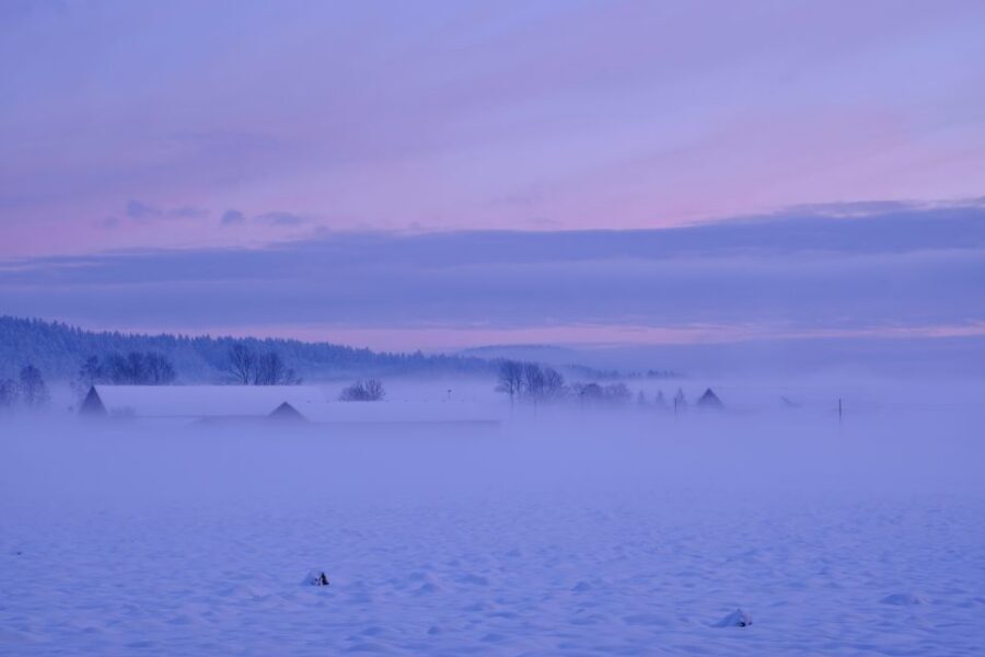 From Rovaniemi: Winter Wonderland Hike with a Hot Drink - Meeting Up in Rovaniemi: Pickup That Sets the Tone