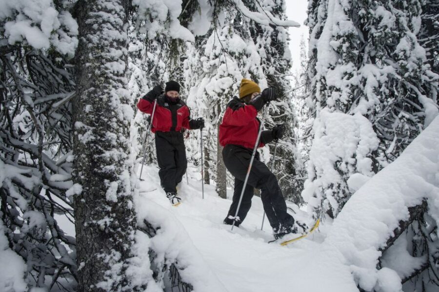 From Ruka: Snowshoeing in Oulanka National Park - Quick Key Points You Should Know