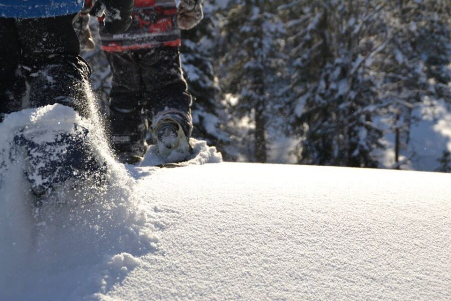 From Ruka: Snowshoeing in Oulanka National Park - Snowshoeing on the Little Bears Trail