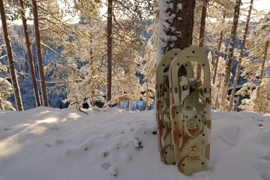 From Ruka: Snowshoeing in Riisitunturi National park - Key things to know before you go