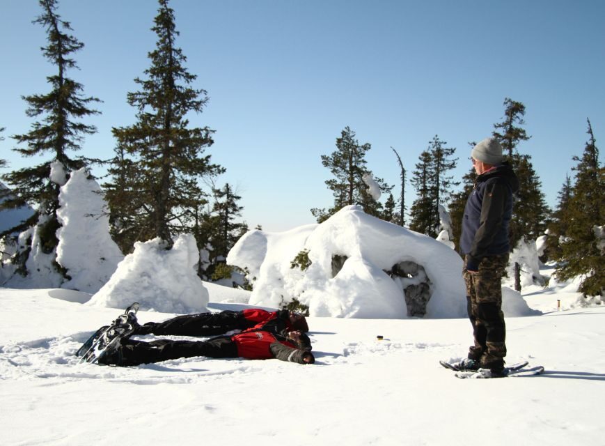 From Ruka: Snowshoeing in Riisitunturi National park - Riisitunturi Snowshoeing: Fells, Views, and Real Arctic Stories