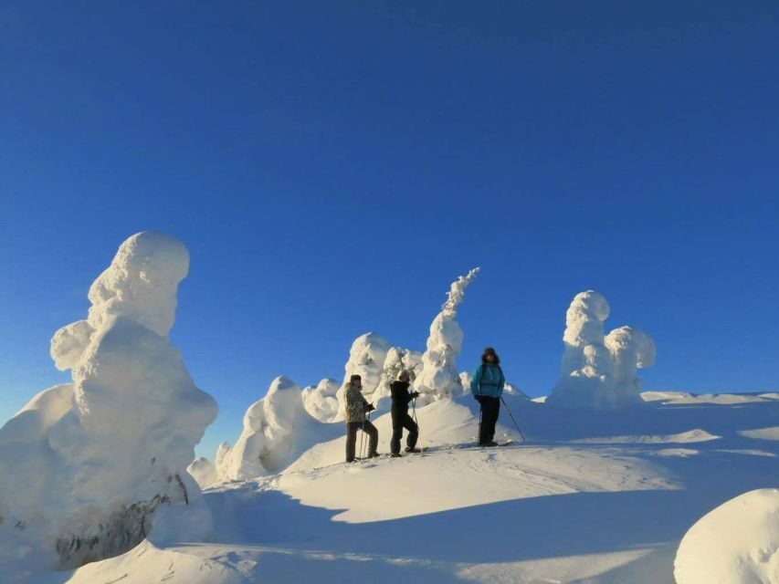 From Ruka: Snowshoeing in Riisitunturi National park - The Hike in Riisitunturi: Forest Steps That Build Confidence