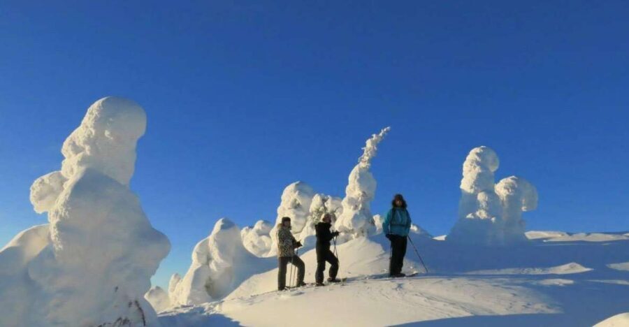 From Ruka: Snowshoeing in Riisitunturi National park - From Ruka to the Starting Point: Why the 30-Minute Transfer Helps