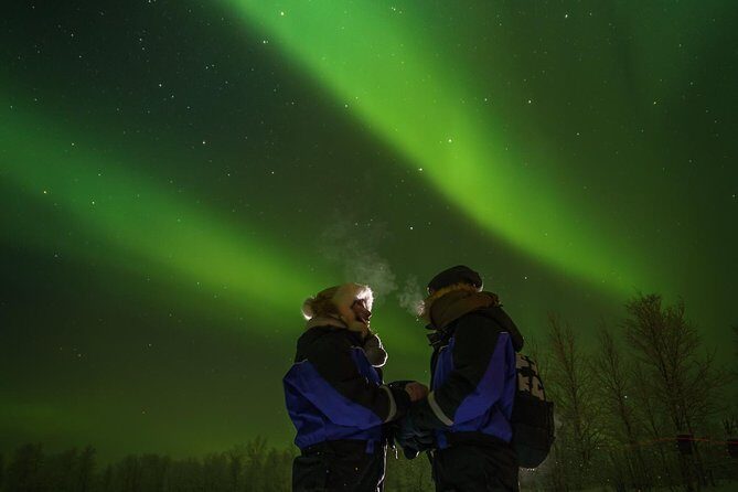 From Saariselkä: Northern lights tour to Lake Inari, incl. dinner - The Ivalo Safaris Stop: A Quick Practical Checkpoint