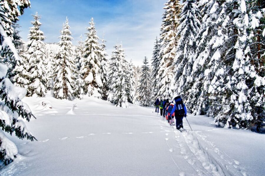 From Sirkka: Levi Summit Guided Nature Snowshoeing Tour - Levi Summit snowshoeing: what makes this 2-hour experience work