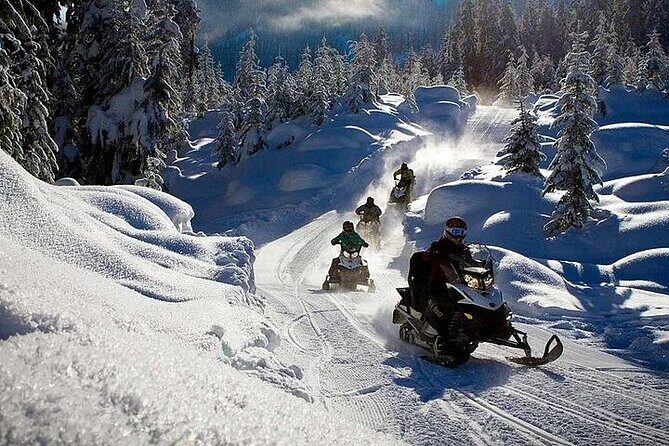 Full Day Snowmobile Safari - Rovaniemi Snowmobile Safari: What the day is really about