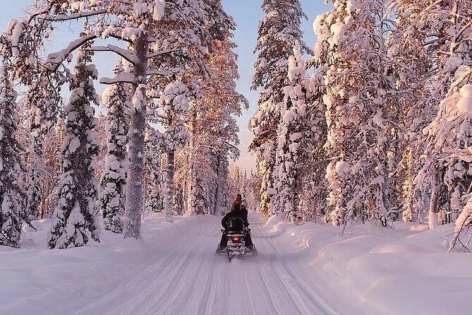 Full Day Snowmobile Safari - Campfire barbecue lunch: warm fuel in the middle of winter