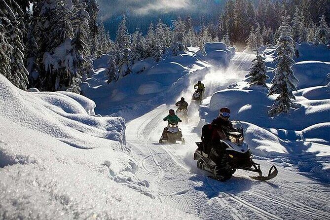 Full Day Snowmobile Safari - Guides and group size: personal attention with up to 15 people