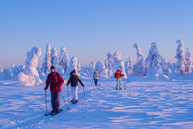 Full-Day Snowshoeing Adventure in Amethyst Mine Pyhä Luosto - Inside Lampivaara: guided geology and the story of amethyst
