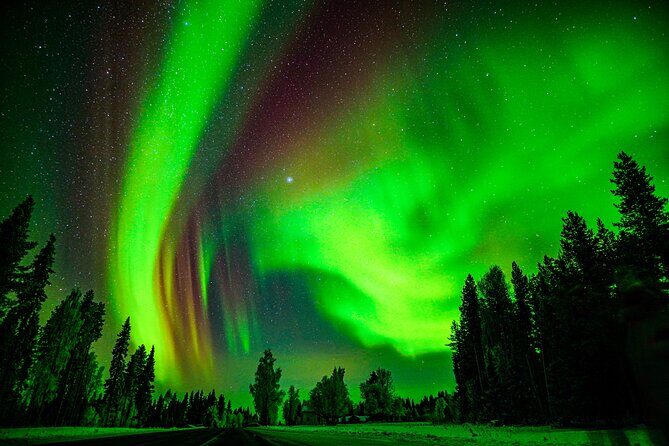Guaranteed Northern Lights Hunting Adventure in Lapland - Small Group Dynamics: Up to 8 Travelers Matters