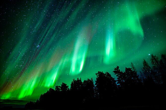 Guaranteed Northern Lights Hunting Adventure in Lapland - Price and Value: What $238.85 Gets You