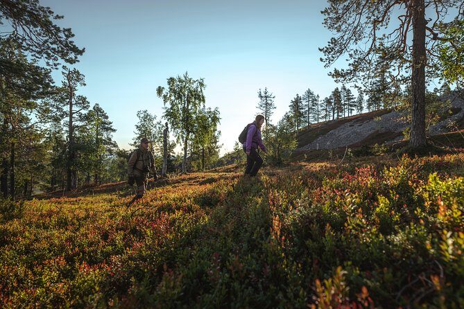 Guided easy hike in Finland deepest gorge in Pyhä-Luosto National Park - Weather reality: when Finland cooperates