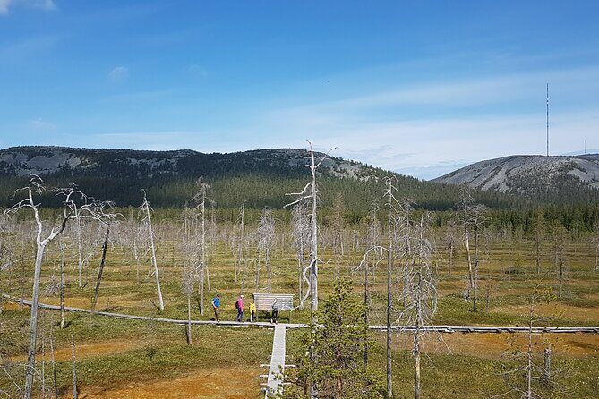 Guided easy hike in Finland deepest gorge in Pyhä-Luosto National Park - Timing, group size, and how the 2.5 hours actually feels