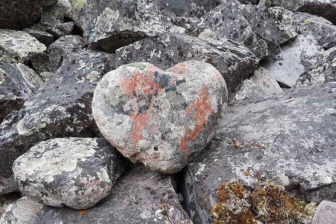 Guided easy hike in Finland deepest gorge in Pyhä-Luosto National Park - Campfire and snacks: plan it, don’t assume it