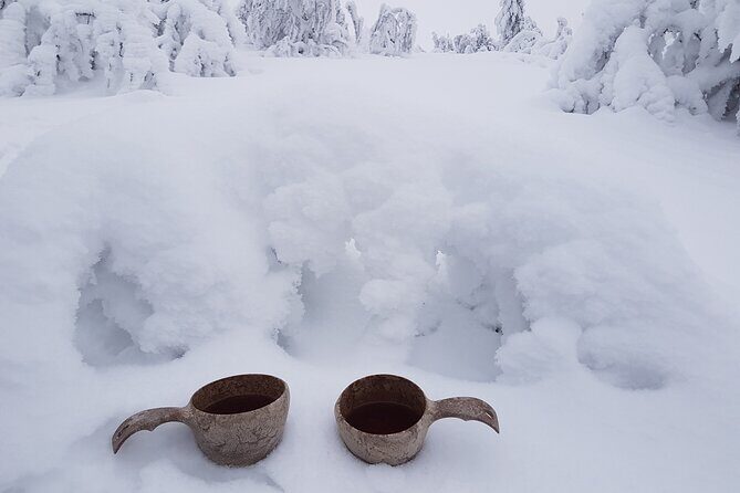 Guided reindeer farm visit and one hour sledge safari - What to Pack for a Cold, Sitting-Still Safari