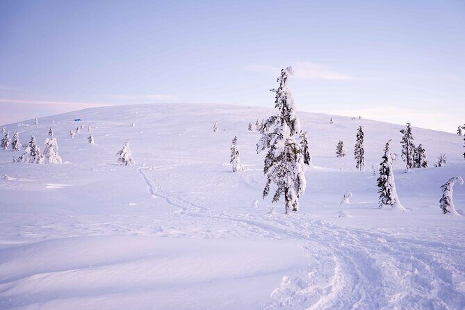 Half-Day Backcountry Skiing Tour in Levi with Photography Guide - Price in Perspective: What $124.36 Covers (and Why It’s Fair)