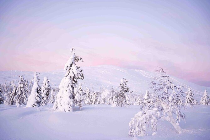 Half Day Guided Tour in the Wilderness of Levi - The Real Schedule: 5–6 Hours That Includes the Ride