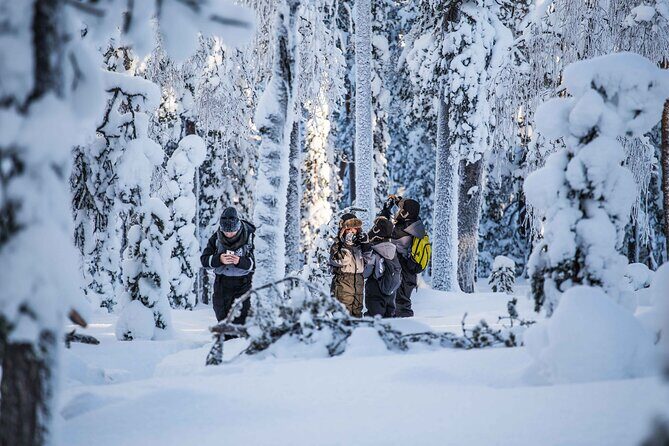 Half Day Guided Tour in the Wilderness of Levi - What You Actually Get: Lunch, Hot Drinks, and Gear