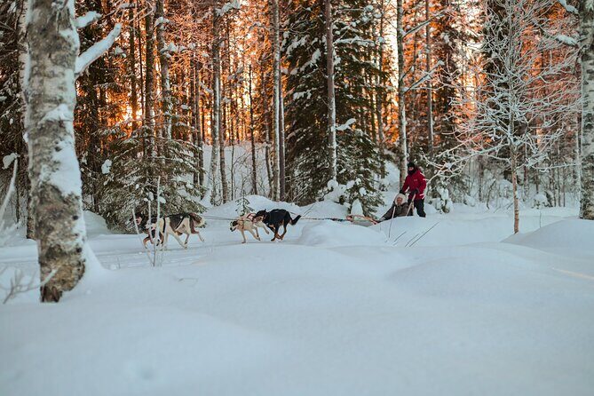 Half-Day Husky Safari and Salmon Ice Fishing Experience - Husky Safari Time: Couples’ Sleds, Steering, and Musher Guidance