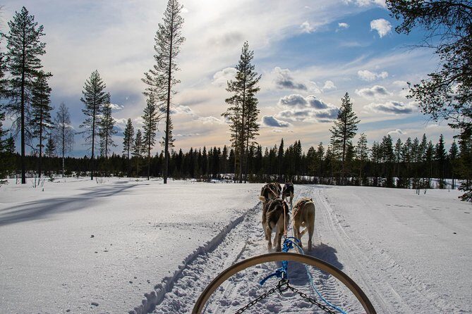 Half-Day Husky Safari and Salmon Ice Fishing Experience - Price and Value: Is $264.91 Worth It for 5.5 Hours?