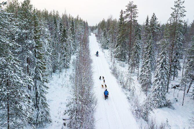 Half-Day Husky Safari and Salmon Ice Fishing Experience - Logistics That Actually Matter (8:00 am, Timing, and What to Wear)