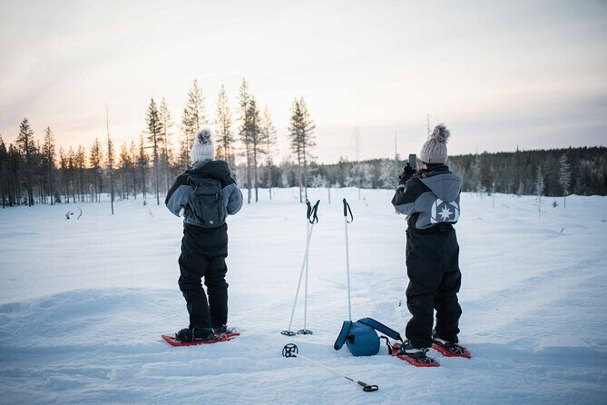 Half Day Snowshoe Hiking Adventure in Levi Lapland - Key highlights you’ll feel on the snow