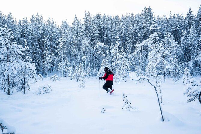 Half Day Snowshoe Hiking Adventure in Levi Lapland - Edited photo collection: why this is worth paying for