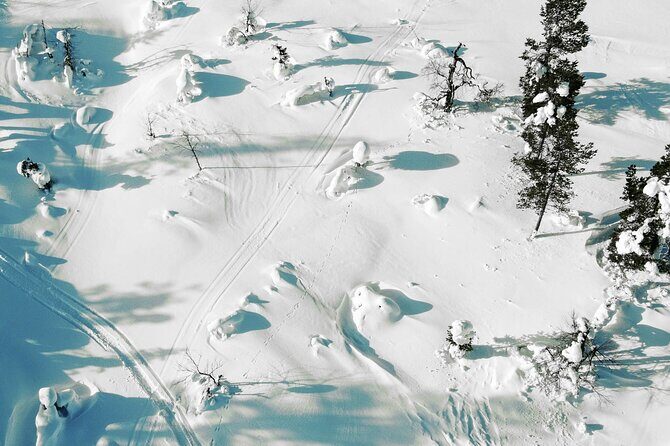 Half Day Snowshoe Hiking Adventure in Levi Lapland - Transportation, pickup zones, and not losing time to confusion