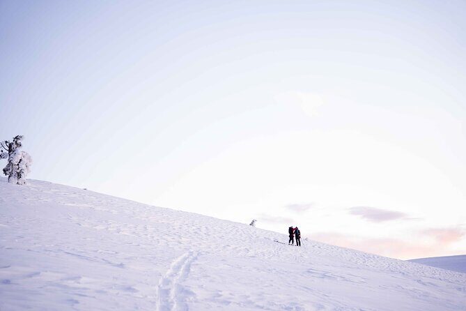 Half Day Snowshoe Hiking Adventure in Levi Lapland - Price and value: $113.79 for gear, guide, snacks, and photos