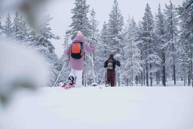 Half Day Snowshoe Hiking Adventure in Levi Lapland - Who this suits best (and who should plan something else)