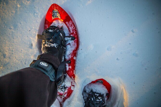 Half Day Snowshoe Hiking Adventure in Levi Lapland - Weather and readiness: what to plan for before 10:00