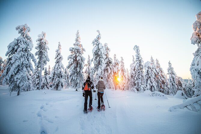 Half Day Snowshoe Hiking Adventure in Levi Lapland - Snowshoe gear and the pace you can actually handle