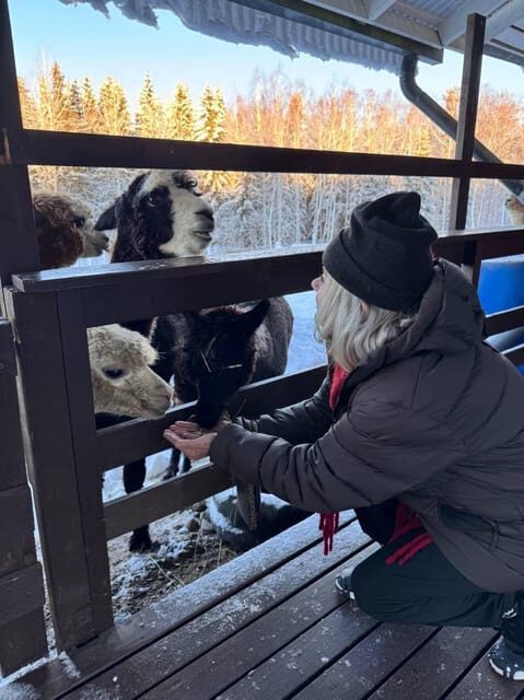 Helsinki: Alpaca Farm Tour with Guided Walk (private) - Kids and Animal Lovers: The Practical Family Angle