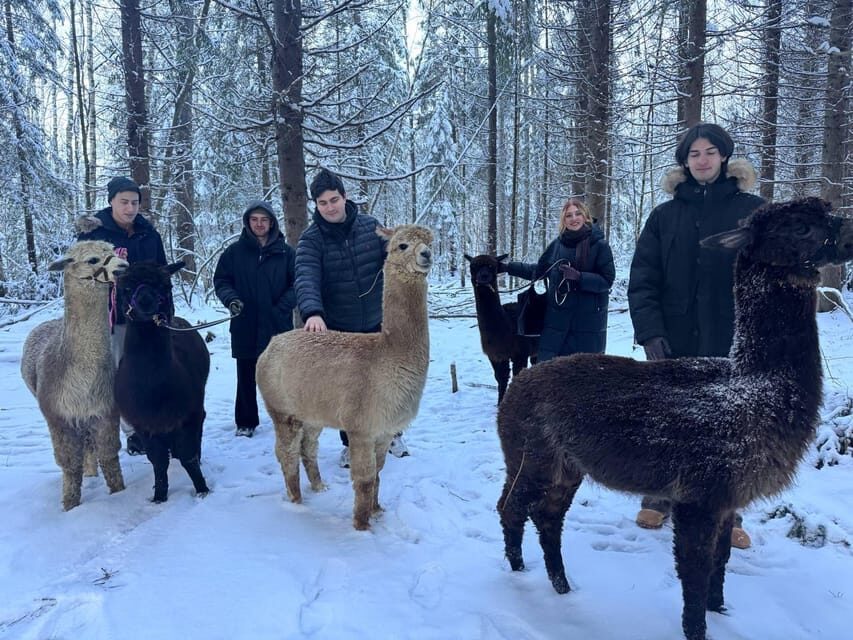 Helsinki: Alpaca Farm Tour with Guided Walk (private) - Alpaca Feeding Behind Fences: Why This Setup Works