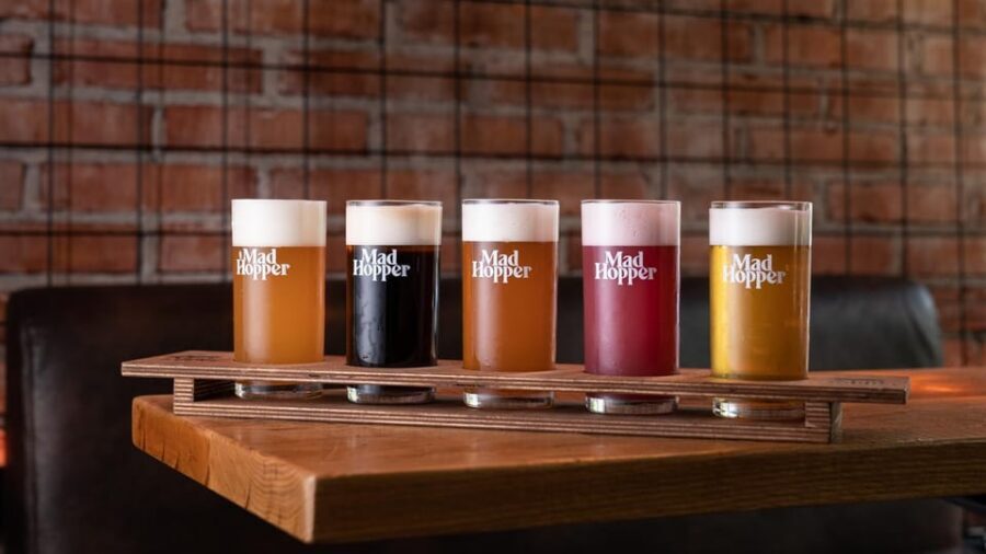 Helsinki: Brewery Tour at Mad Hopper Brewing Company - Your 1-hour brewery tour: brewing process, story, and the “madness” behind it